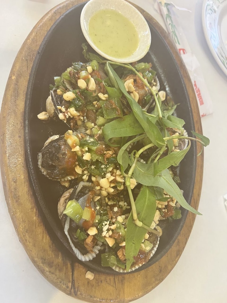 Blood Clam