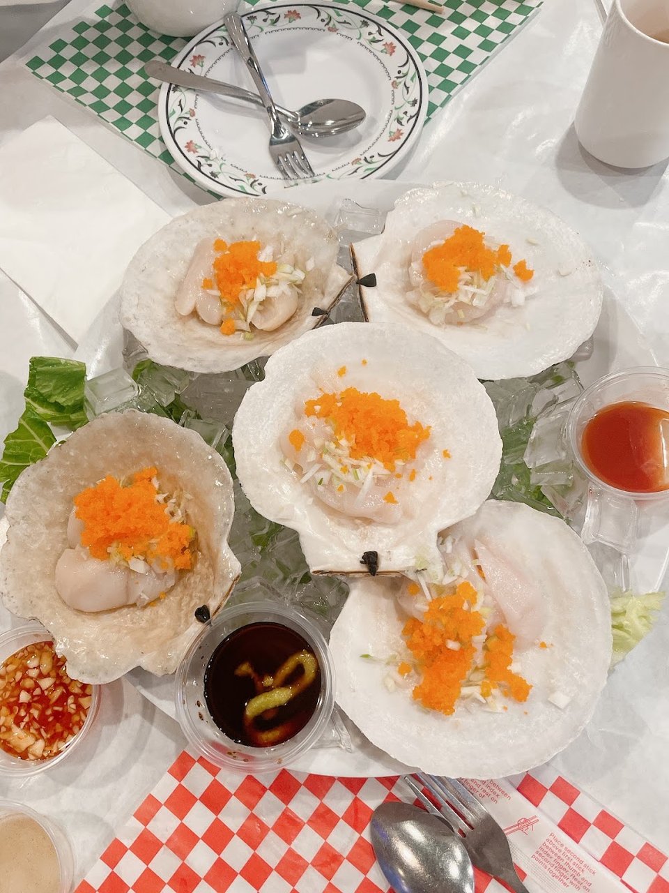 Sò Điệp XL Sashimi