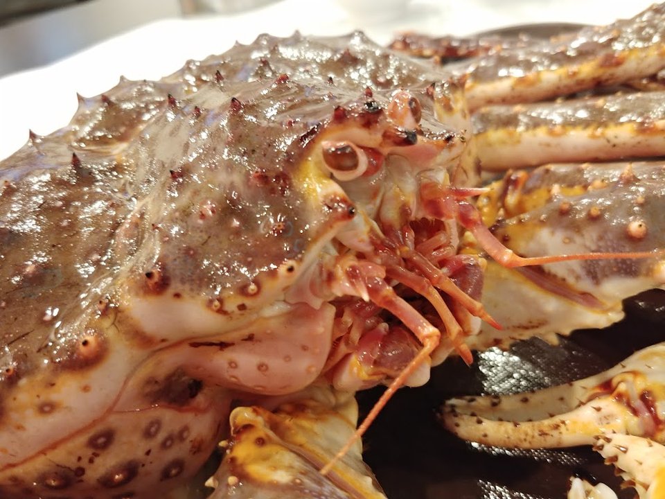 King Crab